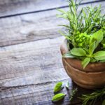 terracotta pot planted with herbs