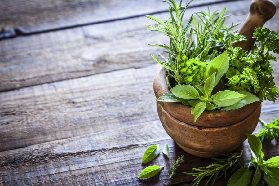 terracotta pot planted with herbs